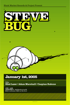 Steve Bug - Toronto 01.01.2005