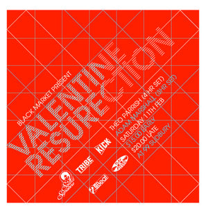 Theo Parrish / Adam Marshall - Toronto February 11